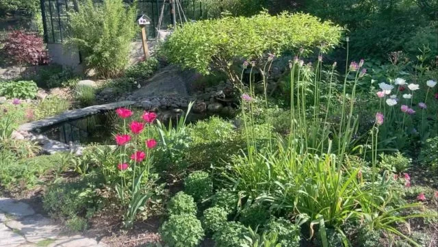 Instagram post 18027106073112665