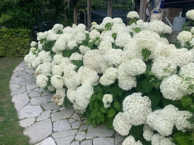 Instagram post 17894862237075883